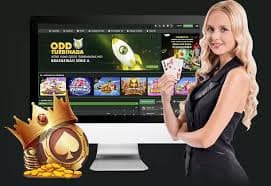 Loyalty tier progression showing cashback rates and member benefits